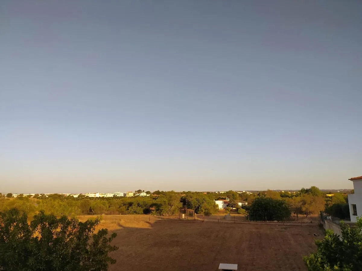 Corvinhos House Apartment Altura
